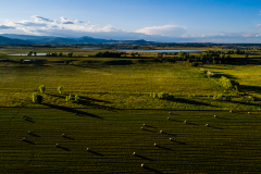 2019.06.23-Niwot.CO-004
